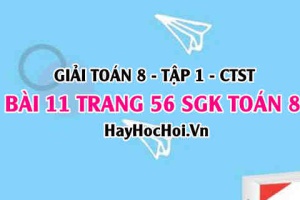 Giải bài 11 trang 56 Toán 8 Tập 1 SGK Chân trời sáng tạo